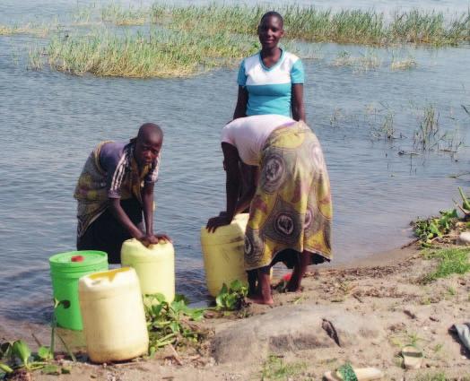 NTDs Die Insel der kranken Kinder Von Jochen Hövekenmeier Am Victoriasee ist Schistosomiasis eine riesige Herausforderung größten Sorgen. Das ist fast normal für Dorfschulen in Tansania.