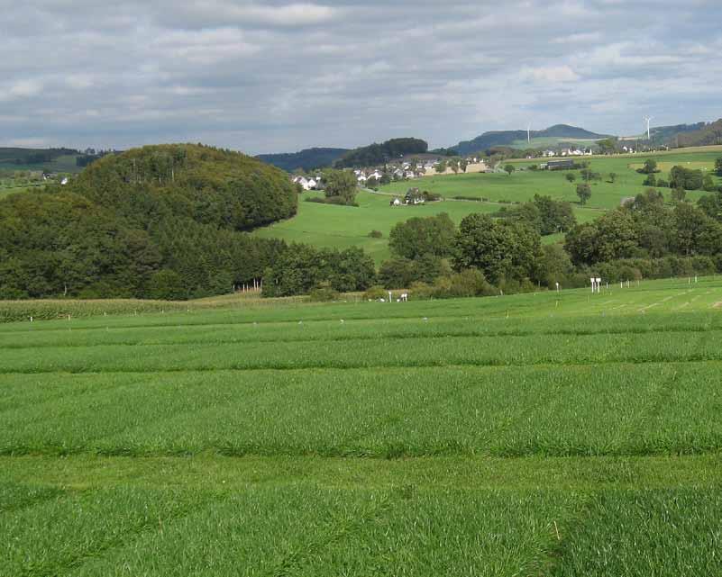 36 Pflanzenbau 1 2 3 4 5 Die Landessortenversuche für Gräser bilden die Grundlage für die regionalen Sortenempfehlungen in Ansaatmischungen.