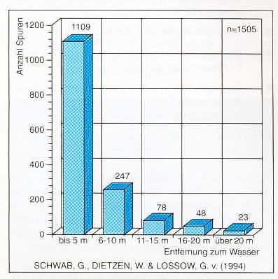 Biberspuren Entfernung von Biberspuren vom Gewässern in Bayern Aus: Biber Bayrisches Landesamt