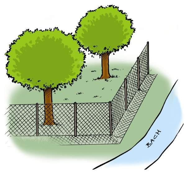 Konfliktlösungen Baumschutz durch Umzäunung Aus: Biber - Informations-