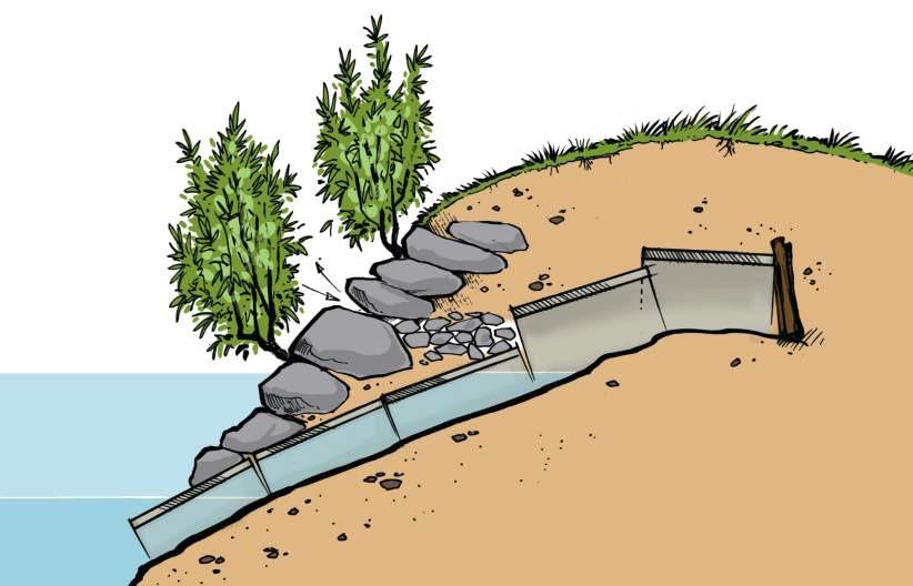 Konfliktlösungen Versteinung von Uferbereichen, künstlicher Bau Aus: Biber -