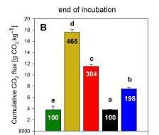 CO 2 efflux (Kohle-C und Boden-C Abbau) N 2 O Emiss.
