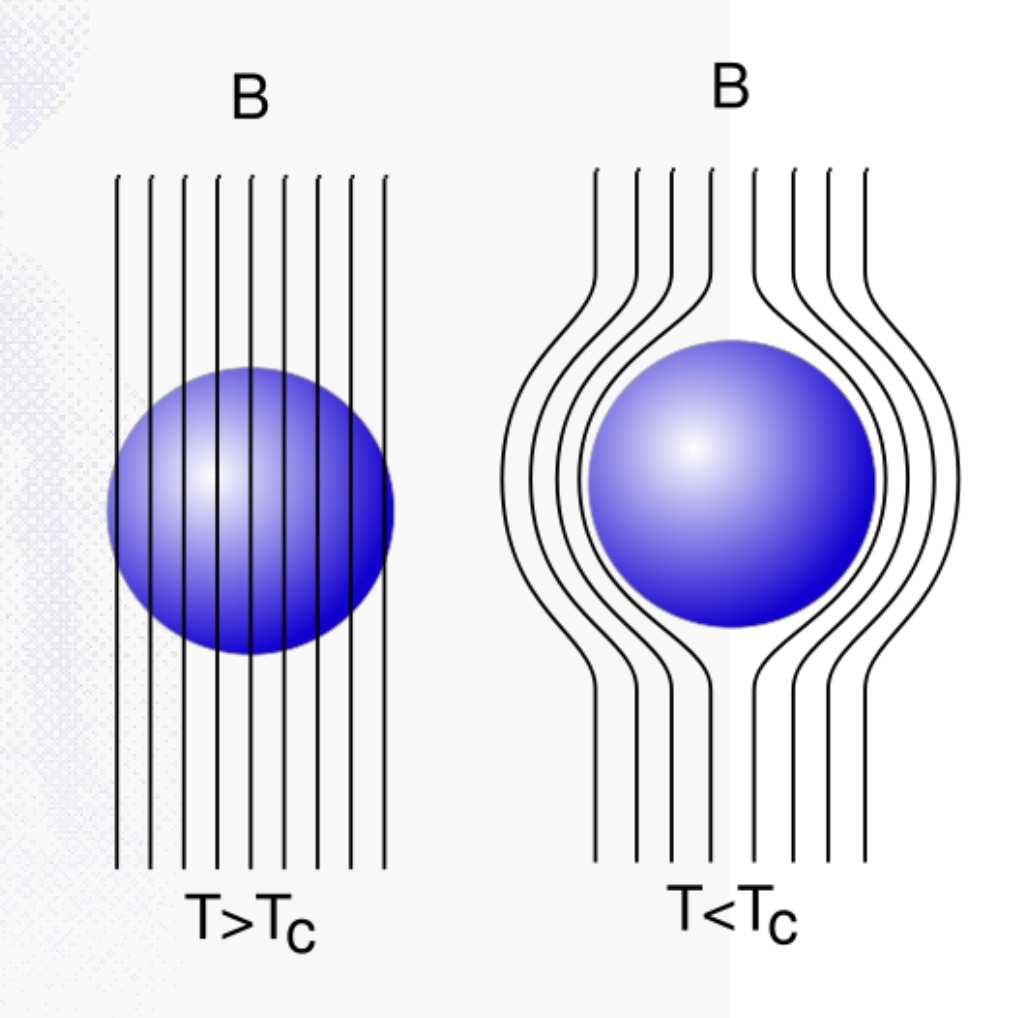 Supraleiter perfekter Diamagnet Meissner-Ochsenfeld-Effekt: T> T c : keine