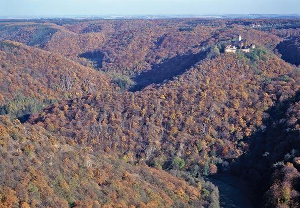 Erhaltung und Weiterentwicklung von Altbeständen, Schaffung von Horstschutzzonen sowie störungsfreien Ruhezonen in den Wäldern und entlang der Fließgewässer für den Schwarzstorch.