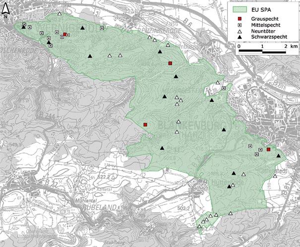 Tab. 81: Übersicht über die Erfüllung der IBA-Kriterien im EU SPA Vogelschutzgebiet zwischen Wernigerode und Blankenburg. Art Schwarzstorch Allgemeingültige Kriterien IBA-Kriterien C6 C7 In Tab.