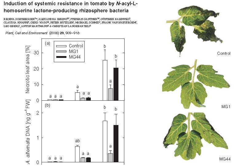 Priming for defence? Are plants listening to bacterial talk?
