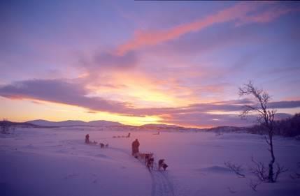 Husky Gebirgstour im mythischen Norden Norwegens Entlang des Nationalparks Dividal und über zwei Pässe 8 Tage / 7 Nächte Saison 2018 Norwegen ist bekannt für seine