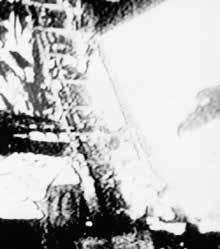 Die Apollo-Saga (III.) Gernot L. Geise Wenn tatsächlich Apollo-As tronauten auf dem Mond waren, warum hatte es die NASA dann nötig, Lügen und Falschaussagen zu verbreiten?