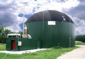Bestandsanalyse Biogasanlagen 55 Anlagen waren bis Dez.
