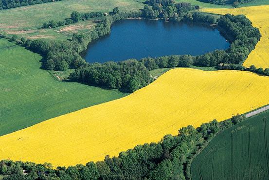 Potenzialermittlung Anbau von Raps auf 15 % der Ackerfläche Anbau von Roggen für die Produktion von 180.