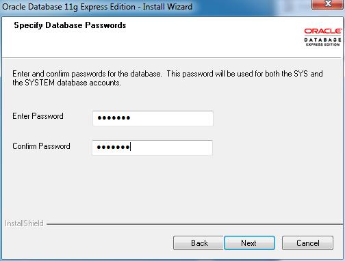 Installation Datenbank Password: manager