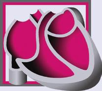 Nachwuchsförderprogramm der Deutschen Gesellschaft für Kardiologie (DGK) und des Deutschen Zentrums für Herz-Kreislauf- Forschung (DZHK) Grundlagen der Herz-Kreislauf-Forschung Sehr geehrte
