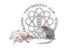 Universität Ulm Tierforschungszentrum 06. Oktober 2015 Der Tierversuchsantrag Anzeigepflicht Genehmigungspflicht nach 8a Abs.1 und 3.