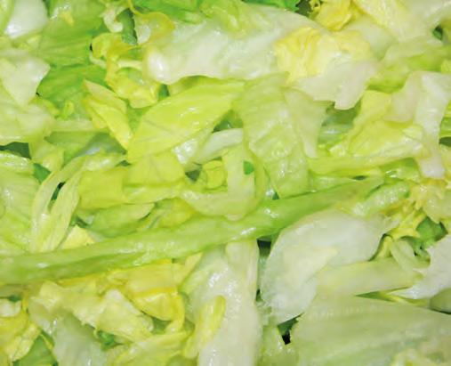 geschnittene Salate Art-Nr Bezeichnung Verpackungsgröße 6678 Chicoree, geschnitten, 6 mm 6656 Eichblatt, ganze Blätter 6681 Eichblatt, Streifen, 6 mm 6668 Eisberg, ganze Blätter 6632 Eisberg,