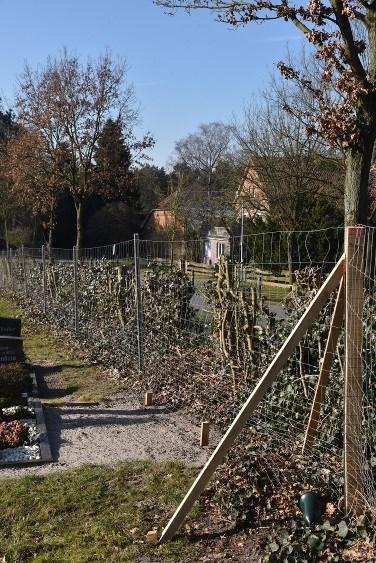 Seite 29 Infos vom Pfarramt und Kirchenvorstand Neuer Zaun um den Friedhof Kurz vor Weihnachten wurde ein Wildschutzzaun auf dem Friedhof in Schneeren errichtet, unmittelbar an der Hecke.