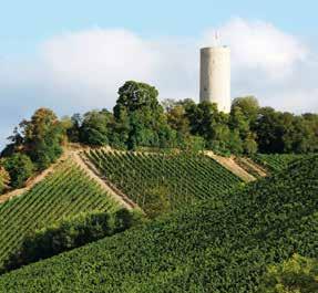 Schließlich liegt Kiedrich auch in unmittelbarer Nachbarschaft zum weltberühmten Zisterzienser Kloster Eberbach, das den Weinbau im Rheingau einst weit verbreitete und das in Kiedrich seine