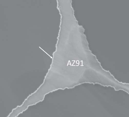 TiN-Schicht Faser AZ91 3 1 μm 4 500 nm WERKSTOFFE UND VERFAHREN faser mit konformer und gut haftender ALD-Al 2 O 3 -Schicht.
