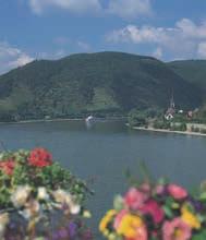 Wanderung zur Loreley