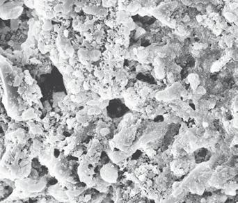 Produkt-Empfehlung Altbeschichtungen (kunstharzgebundene und mineralische Untergründe) Putze MG CS II und Kalksandstein Die Anwendungsbereiche Herbol-Herboxan überzeugt durch seine vielfältigen