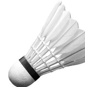 Badmintonlandesverbandes für Einzel, Doppel und Mixed.