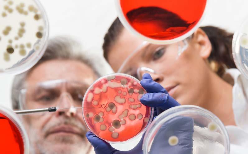 R-Biopharm AG Produktkatalog 2018 Bakteriologie Übertragbare Krankheiten sind nach wie vor die häufigste Todesursache in den Schwellenländern und ein großes Problem für die Volksgesundheit in