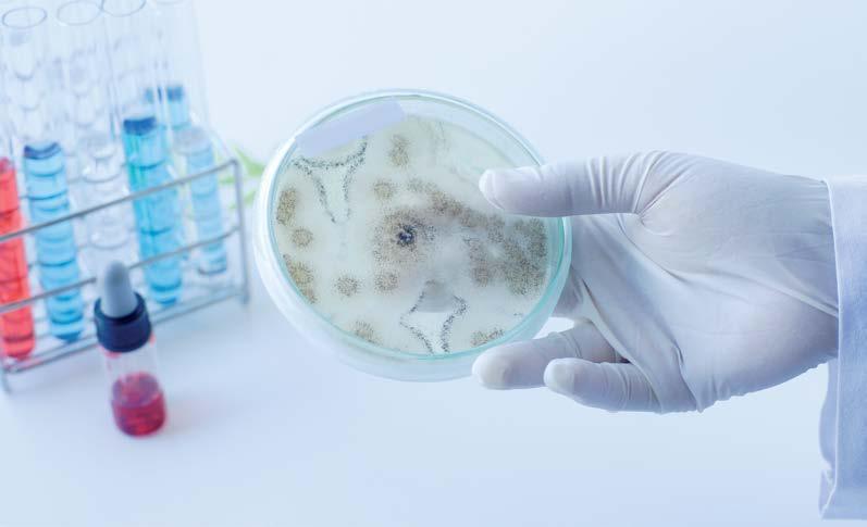 R-Biopharm AG Produktkatalog 2018 Mykologie Nach neuesten Erkenntnissen nimmt die Inzidenz von Pilzinfektionen zu.