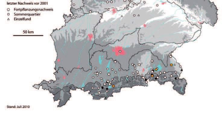 110, 120 und 140 adulte Tiere, 2010 wurde eine vierte Kolonie am Waginger See gefunden der Gesamtbestand in Bayern dürfte derzeit mindestens 500 adulte Individuen betragen (s. Abschn. 3.2.5).