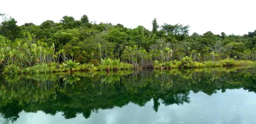 Krebs-Reisen Madagaskar für Individualisten MADAGASKAR 2016 Landprogramm