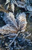 Genießen Sie die winterliche Stille des Naturparks, fernab von Trubel und Hektik vor den Toren der Metropole Berlin nur eine knappe Zug- oder Autostunde