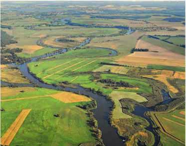 Mittlere Elbe