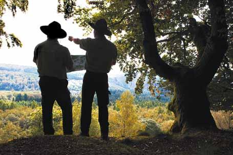 Nationalpark Hunsrück-Hochwald Eine Gruppe fehlt im Nationalparkamt - bewusst. Das sind Forstwirte, die nur in der Waldarbeit tätig sind, z.b. beim Fällen und Aufarbeiten von Bäumen, die im Rahmen der Waldentwicklung noch entnommen werden.