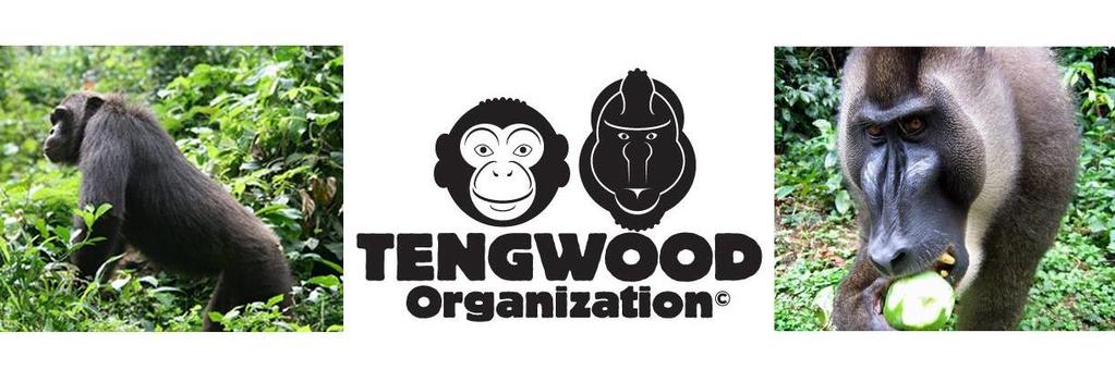 TENGWOOD ORGANIZATION Tengwood Organization ist nun 6 Jahre alt und wir wollen zurückschauen auf das vergangene Geschäftsjahr vom 1.7.2015 30.6.2016. Tengwood Organization wurde am 9.12.