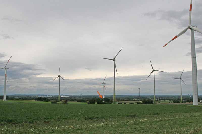 Rotmilan im VSG Hellwegbörde Windpark Ostbüren (2013: 14 WEA) von 2008 bis 2015 vier