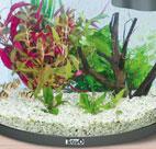 ProFito Universaldünger, hochkonzentriert. Für kräftiges, gesundes und üppiges Pflanzenwachstum im Aquarium. 3.