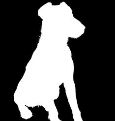 Hundeführgeschirr Dog Harness Follow Start Follow START ist das Einstiegsmodell in die ÉFollowÉ Welt Optimaler Sitz dank idealer Paßform Mit 2