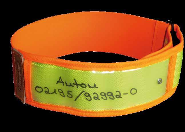 In an emergency, the elastic part allows the dog to be released Personalize the collar with the message of your choice