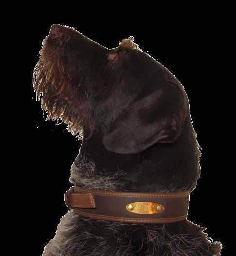de The finest genuine leather, neoprene and the Premium brass swivel are top quality materials that make this dog collar such a unique