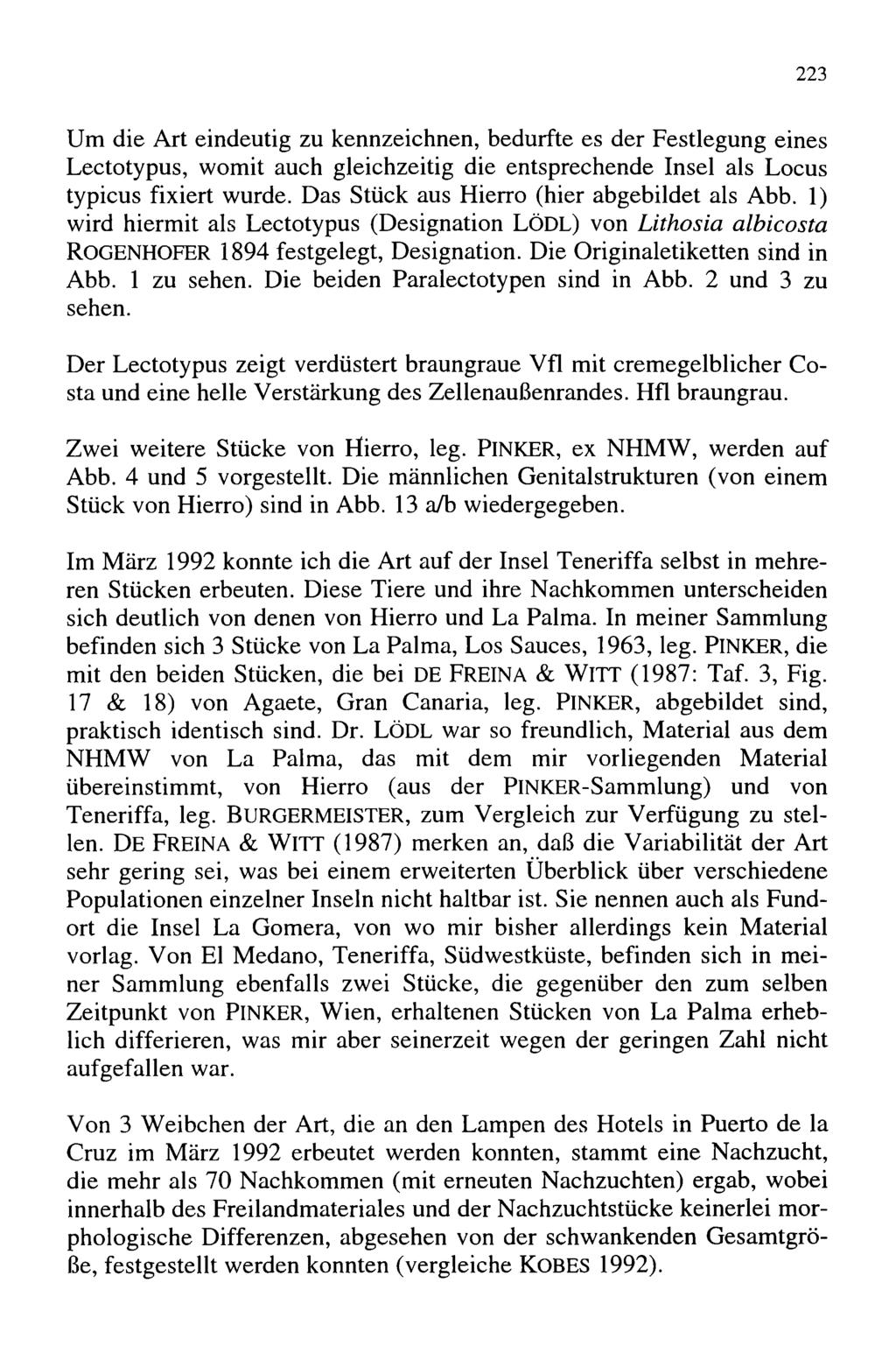 223 Um die Art eindeutig zu kennzeichnen, bedurfte es der Festlegung eines Lectotypus, womit auch gleichzeitig die entsprechende Insel als Locus typicus fixiert wurde.