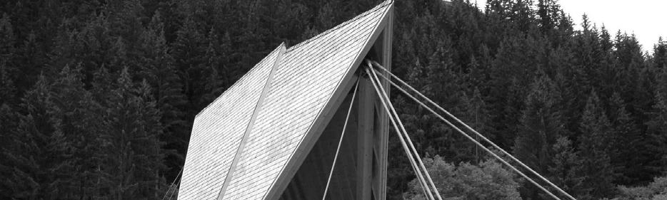 Von Kössen bis zum Lechtal - neue Brücken in Tirol 13. Internationales Holzbau-Forum 2007 Abbildung 19: Tannenhofbrücke, es fehlt der Geländerholm 2.2.5 Holzschutzkonzept - Die Pylonkonstruktion wird durch ein Dach geschützt.