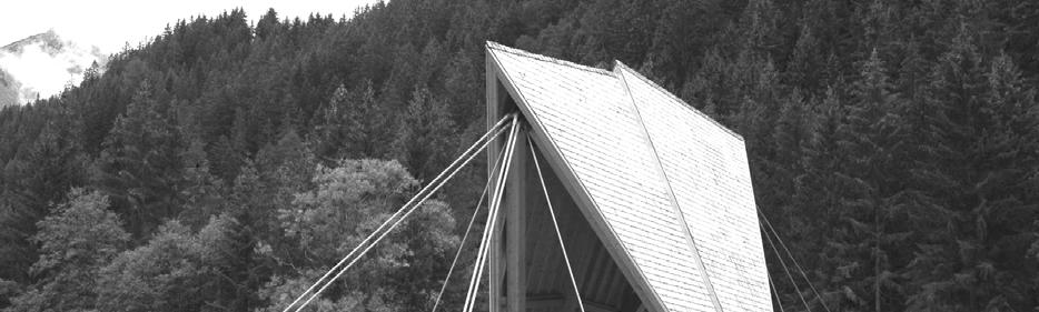 Von Kössen bis zum Lechtal - neue Brücken in Tirol - Planung und statisch konstruktive