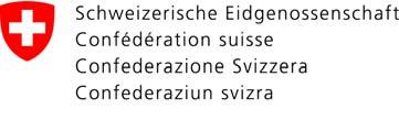 E-Government Schweiz A 1.