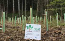 der Aktion war am 05. Mai die symbolische Neupflanzung von 100 Bäumen in einem firmeneigenen Waldgrundstück in Nähe der Zentralverwaltung in Dietmannsried im Allgäu.