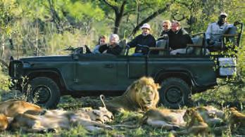 Kruger Park ausführlich & intensiv: Sie beginnen Ihre Kruger Safari ab dem Gate Phalaborwa, d.h. deutlich weiter nördlich als der Standard.