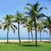 VERL Ä NGERU NG AB TRINCOMALEE ODER CHILAW Baden Ost- oder Westküste ab 340 bei 2 Teilnehmern 15 Verlängern am Strand Die Tropeninsel Sri Lanka besitzt 1.