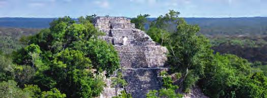 IM FOKUS Sie besuchen Calakmul, die abseits gelegene und größte bisher entdeckte Maya-Stadt!