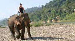 Kristin Skroch auf Elefanten- Safari am Mekong