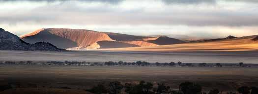 IM FOKUS Sie besteigen im Herzen der Namib-Wüste die höchsten Sanddünen der Welt: Sossusvlei! 1 Flug nach Namibia Individuelle oder Bahnanreise nach Frankfurt.