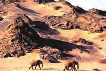 , 02.09. und 23.09.18 verbringen Sie eine Nacht im Namib Dune Star Camp anstatt der Namib Desert Lodge.