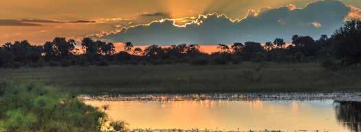 IM FOKUS In herrlichen Flussoasen verweilen Sie auf Safari zu Land und zu Wasser am Okavango, Kwando/ Linyanti, Chobe und Sambesi. 1 Flug nach Namibia Bahn- oder individuelle Anreise nach Frankfurt.