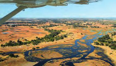 Der Chobe Nationalpark ist bekannt für eine riesige Elefantenpopulation. Sie können hier jedoch auch Büffel, Kudus, Pukus, Impalas, Elen- und Pferdeantilopen finden.